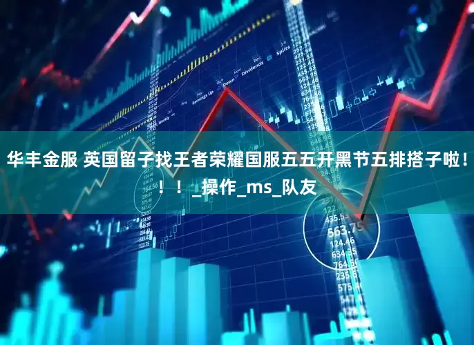 华丰金服 英国留子找王者荣耀国服五五开黑节五排搭子啦！！！_操作_ms_队友