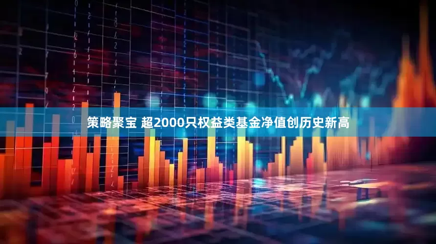 策略聚宝 超2000只权益类基金净值创历史新高